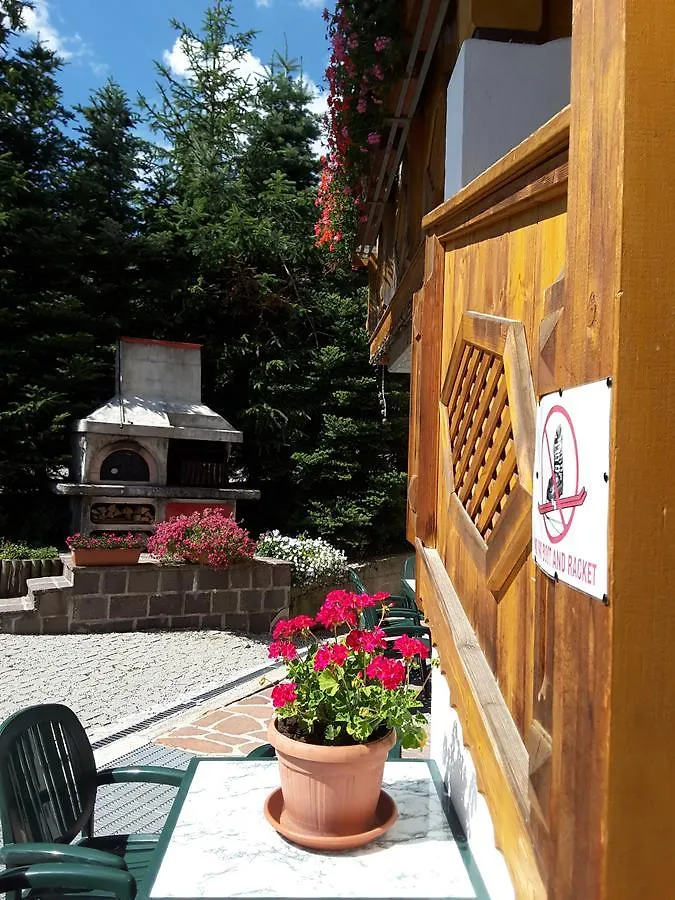Chalet Brigitte B&B Arabba Bed & Breakfast